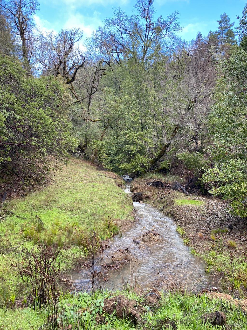0 Lakeshore Drive Willits CA 95490