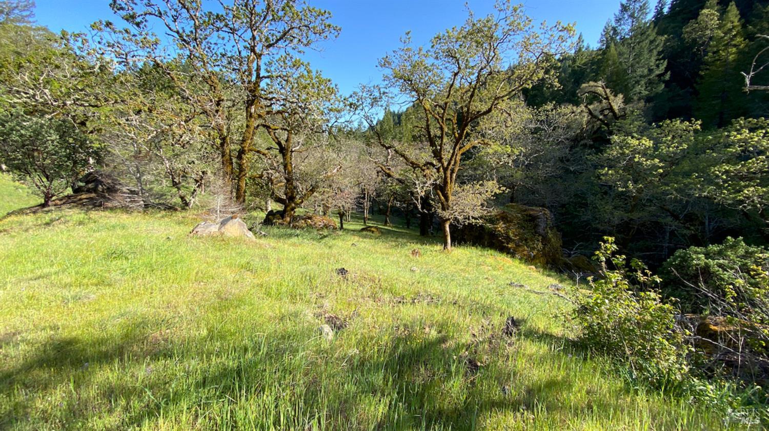 0 Lakeshore Drive Willits CA 95490