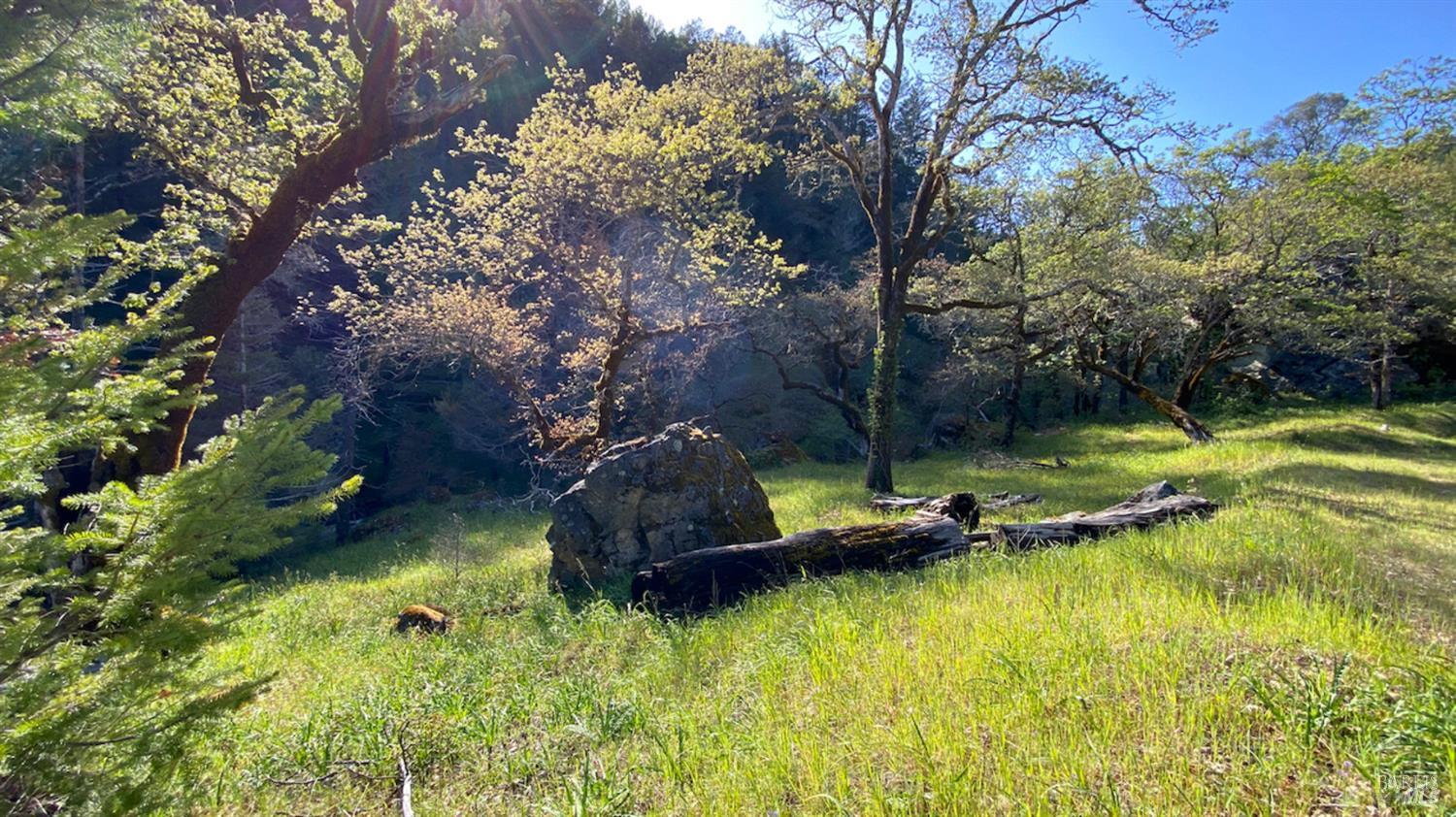 0 Lakeshore Drive Willits CA 95490