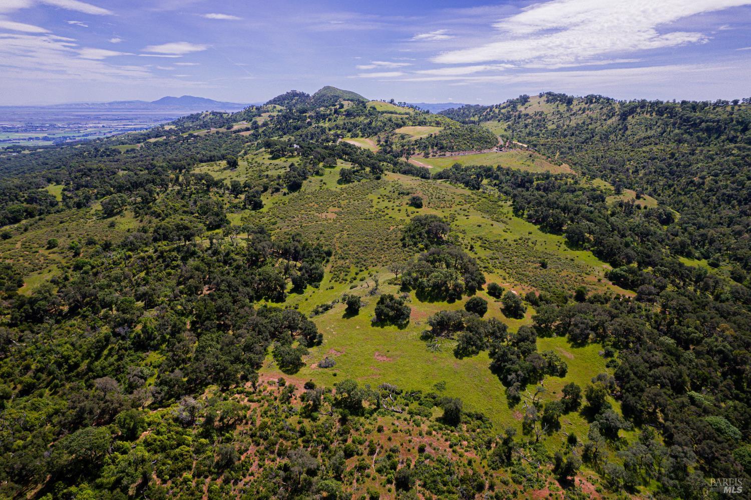 Napa CA, Wild Horse Valley Road