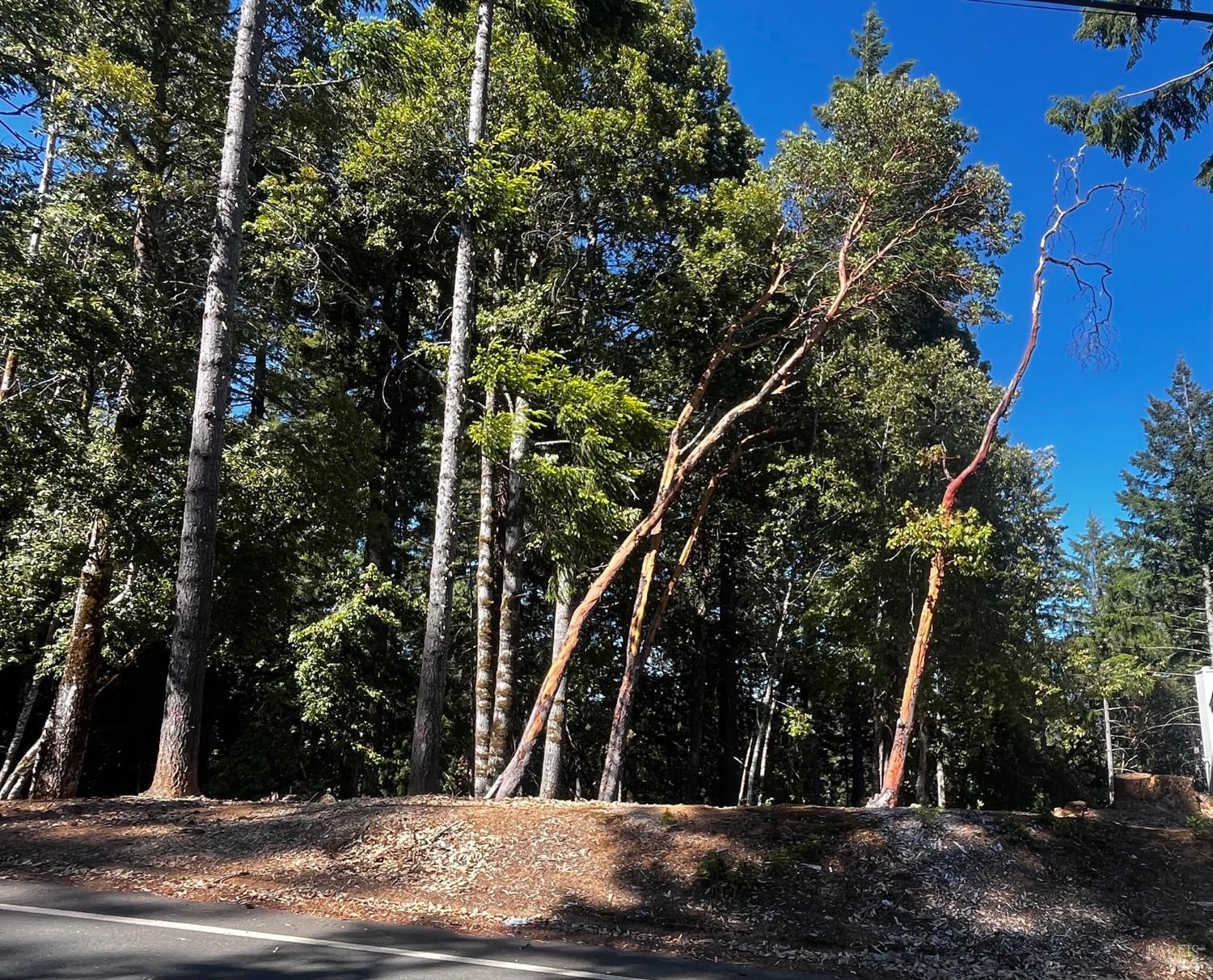 2374 Goose Road Willits CA 95490
