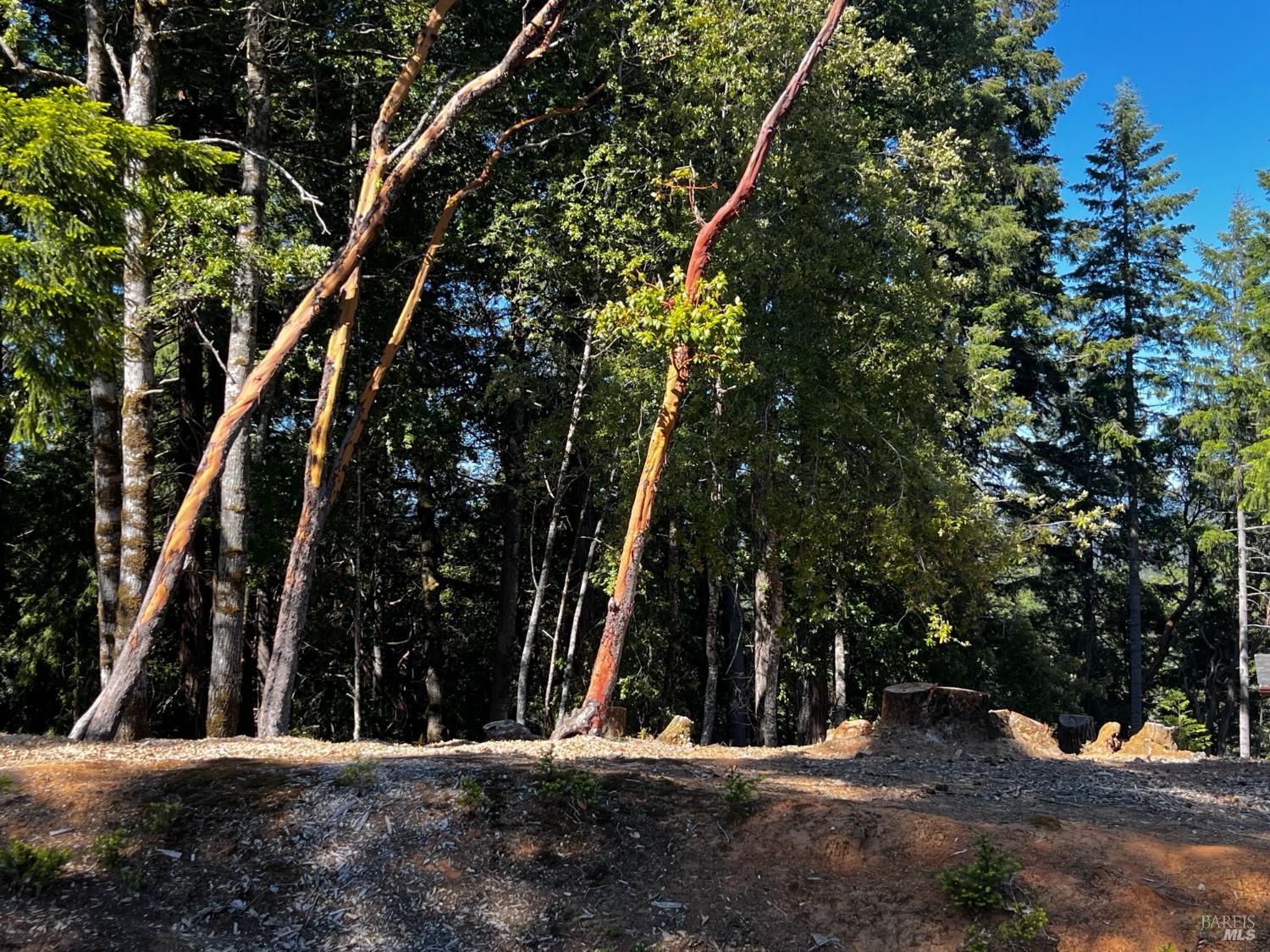 2374 Goose Road Willits CA 95490