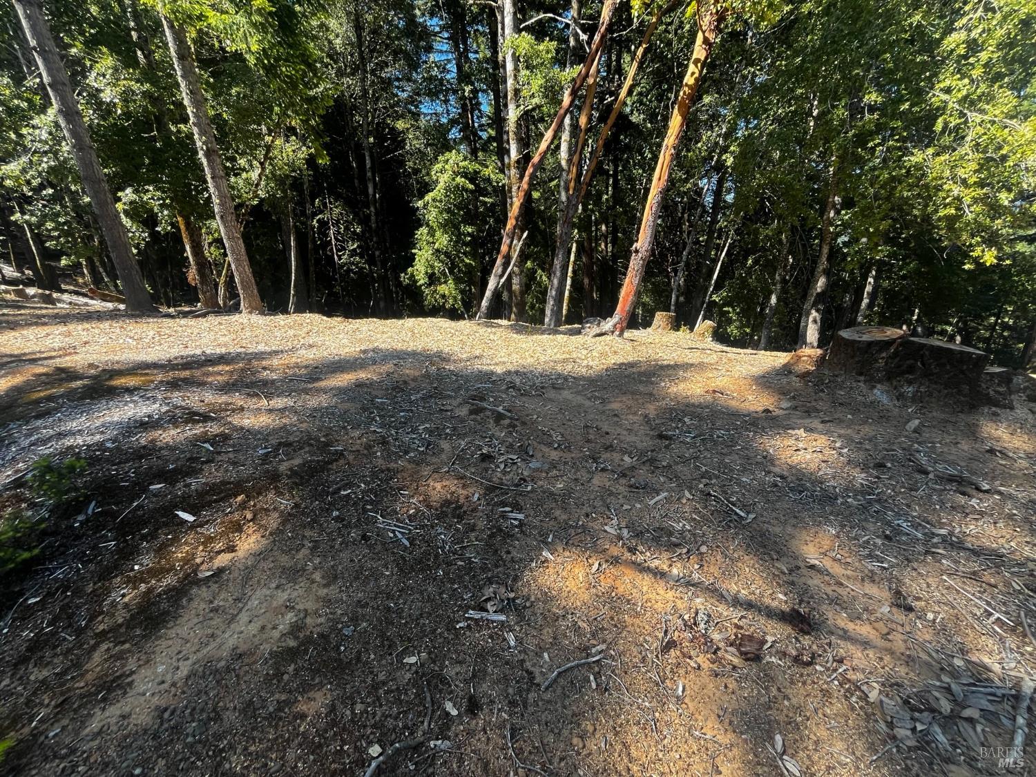 2374 Goose Road Willits CA 95490