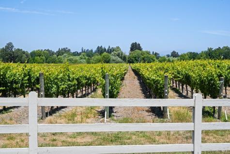 5505 Bravo Toro Lane Santa Rosa CA 95401