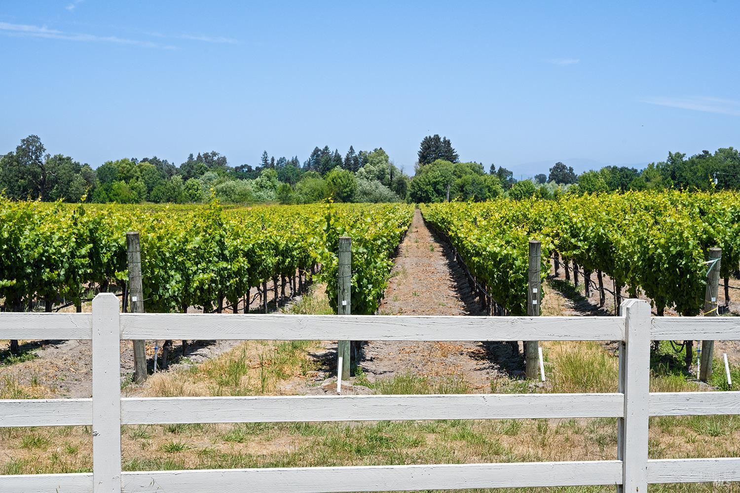 5505 Bravo Toro Lane Santa Rosa CA 95401
