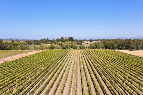 5505 Bravo Toro Lane Santa Rosa CA 95401