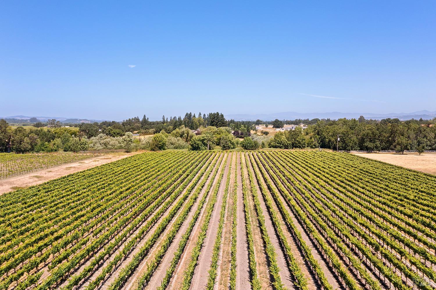 5505 Bravo Toro Lane Santa Rosa CA 95401