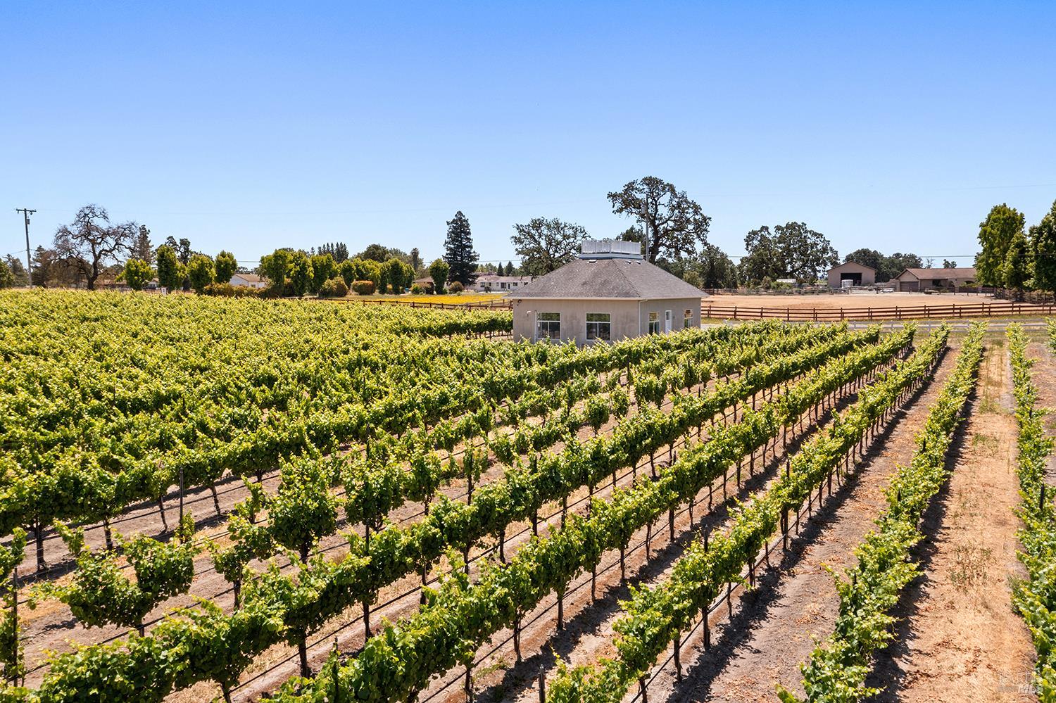 5505 Bravo Toro Lane Santa Rosa CA 95401