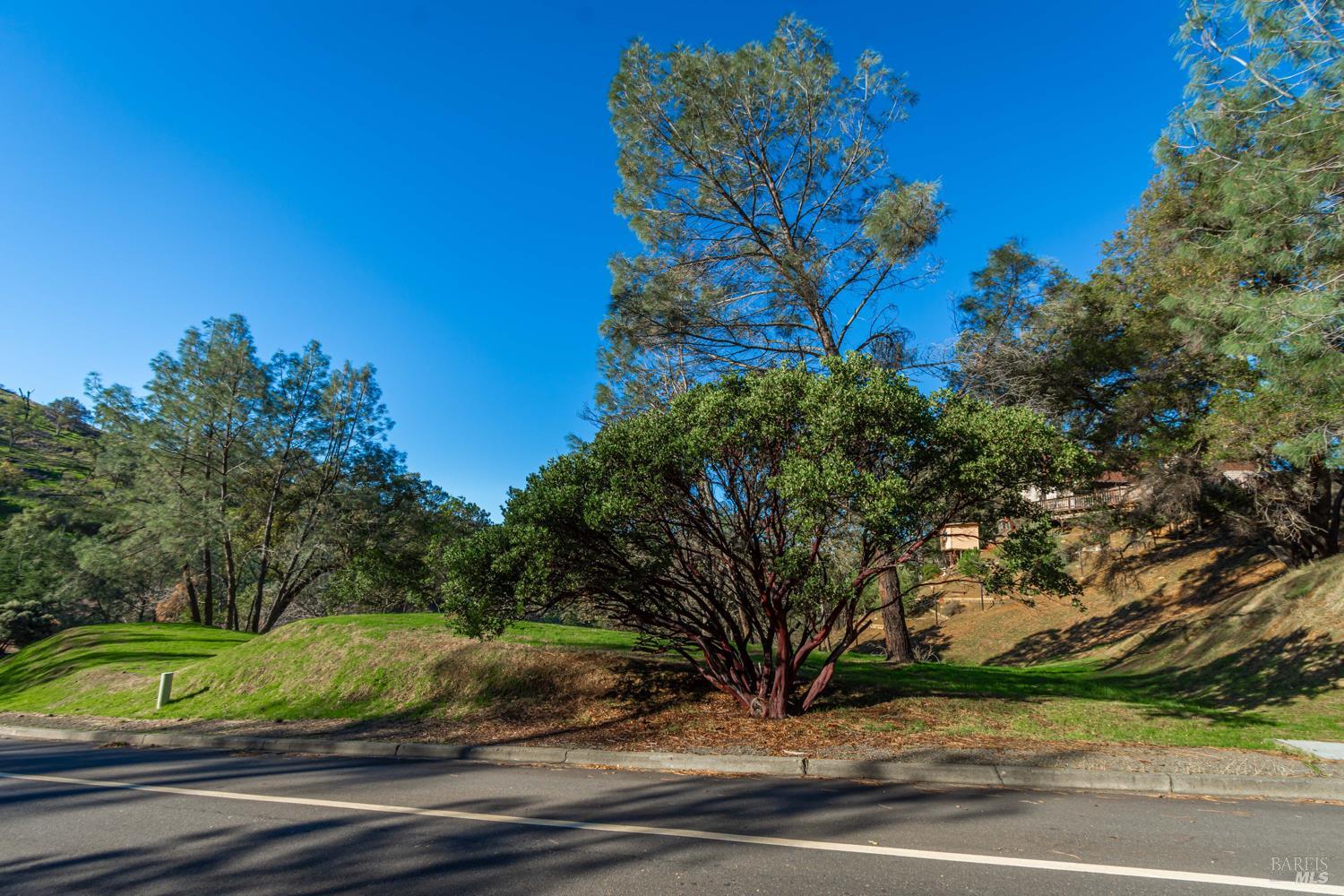 1155 Steele Canyon Road Napa CA 94558
