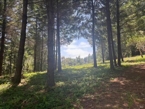 21380 Siri Road Guerneville CA 95446