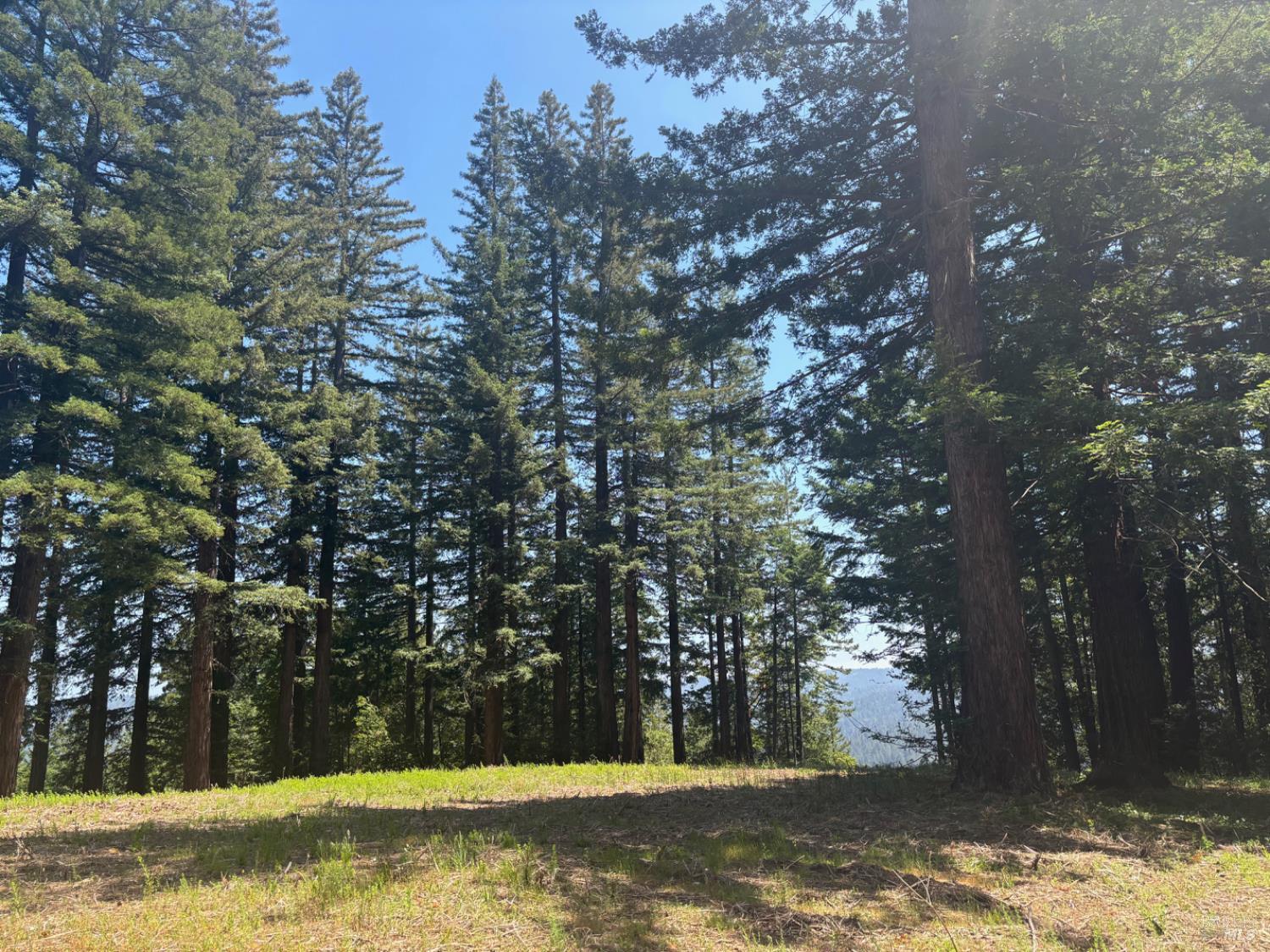 21380 Siri Road Guerneville CA 95446