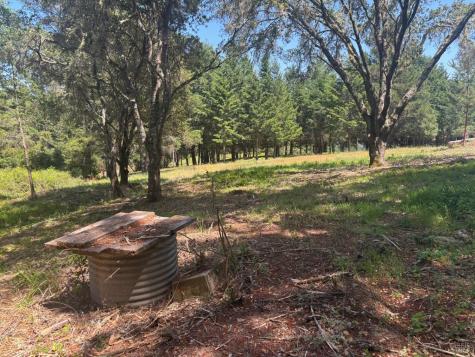21380 Siri Road Guerneville CA 95446
