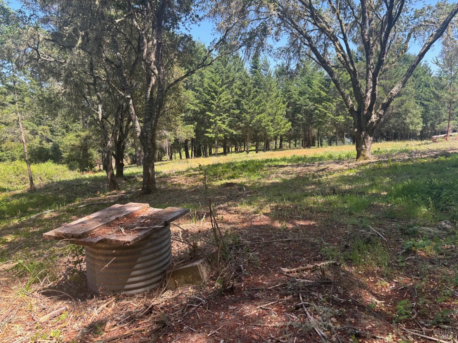 21380 Siri Road Guerneville CA 95446