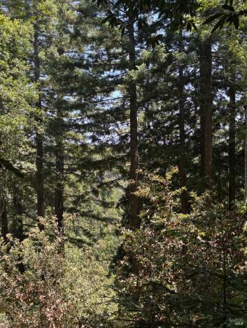 21380 Siri Road Guerneville CA 95446