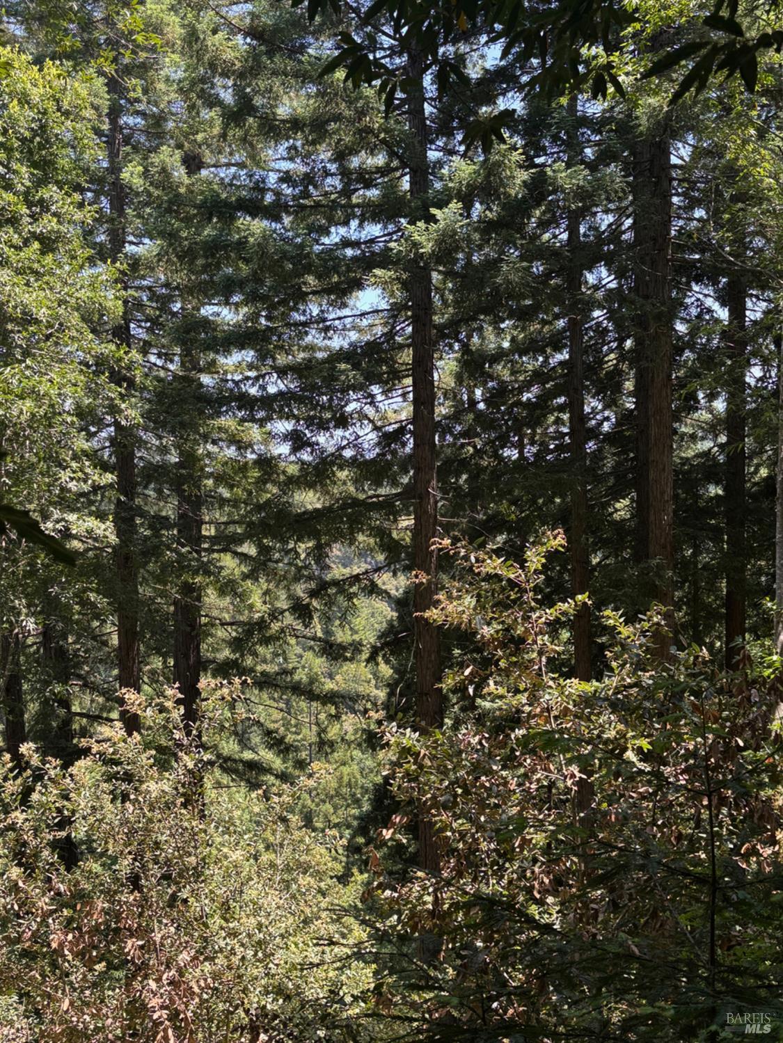 21380 Siri Road Guerneville CA 95446