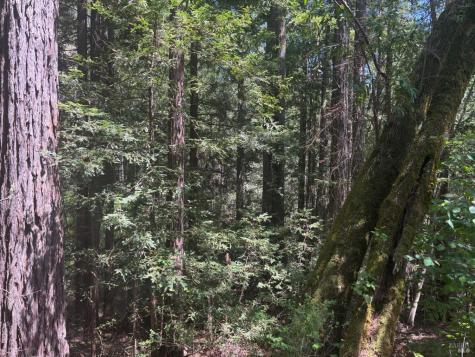 21380 Siri Road Guerneville CA 95446