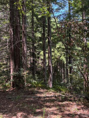 21380 Siri Road Guerneville CA 95446