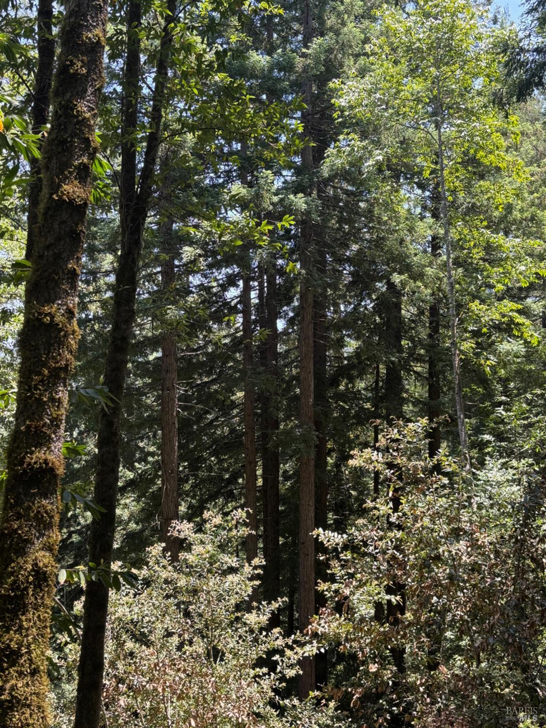 21380 Siri Road Guerneville CA 95446