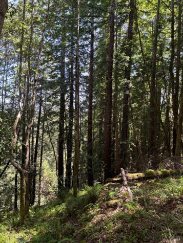 21380 Siri Road Guerneville CA 95446