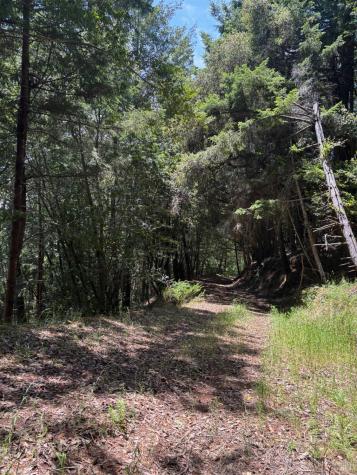 21380 Siri Road Guerneville CA 95446