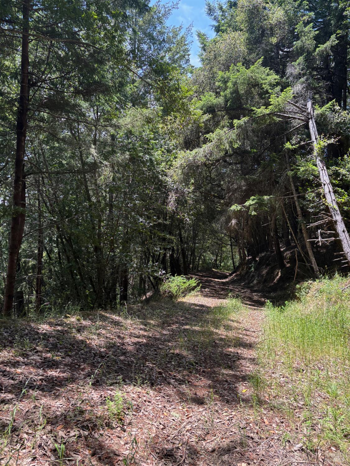 21380 Siri Road Guerneville CA 95446
