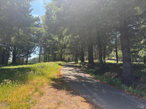 21380 Siri Road Guerneville CA 95446