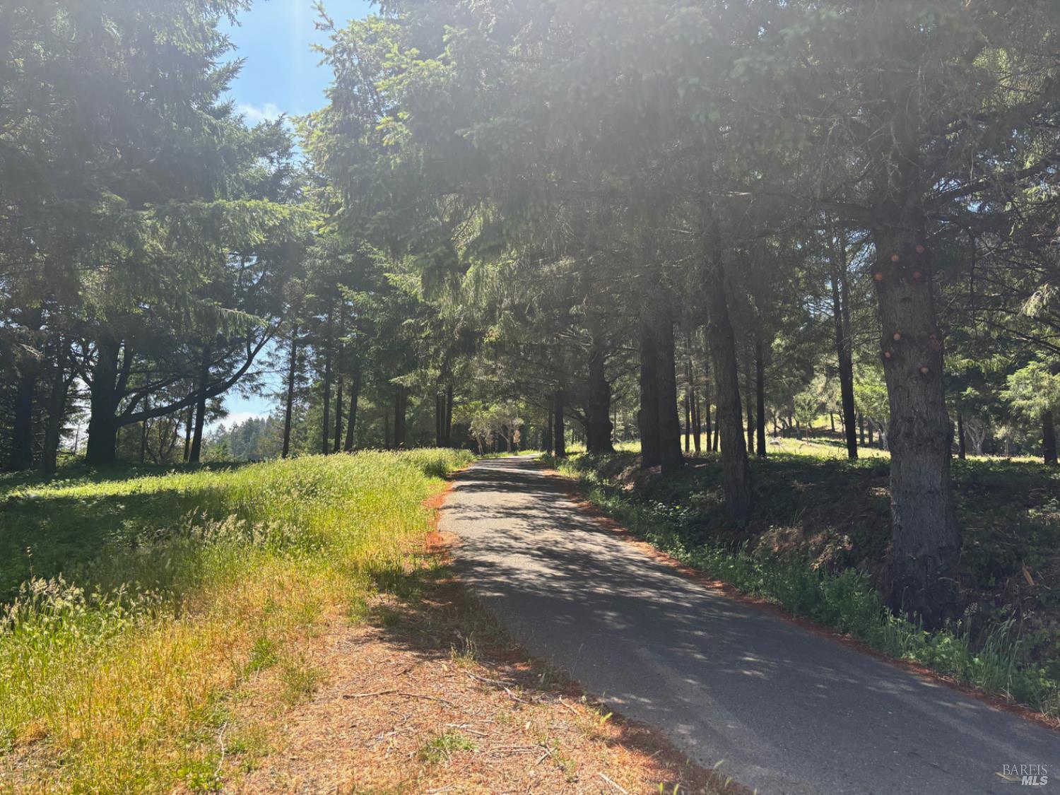 21380 Siri Road Guerneville CA 95446