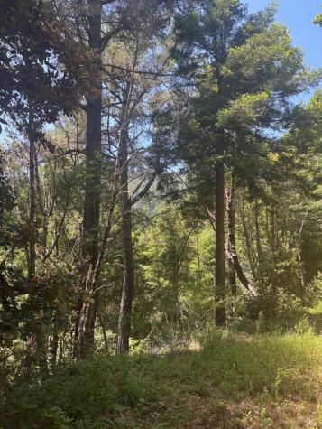 21380 Siri Road Guerneville CA 95446