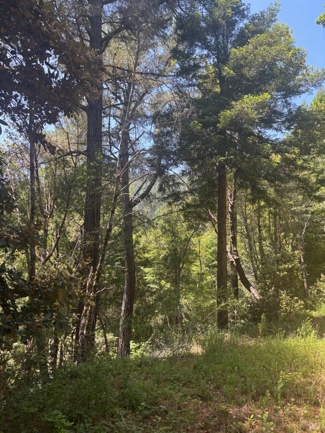 21380 Siri Road Guerneville CA 95446
