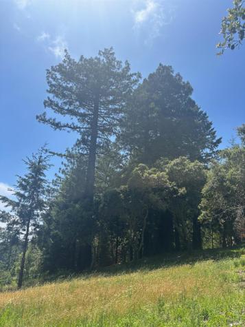 21380 Siri Road Guerneville CA 95446