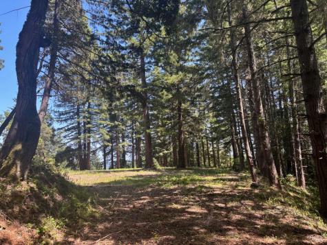 21380 Siri Road Guerneville CA 95446