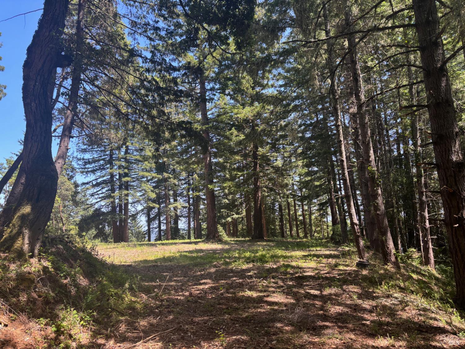 21380 Siri Road Guerneville CA 95446