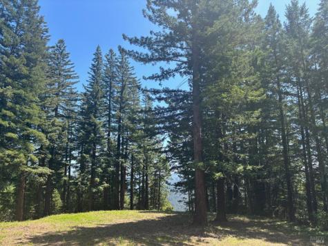 21380 Siri Road Guerneville CA 95446