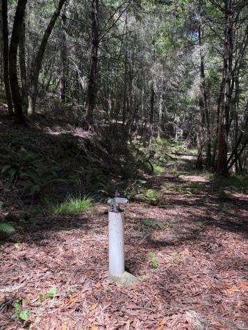 21380 Siri Road Guerneville CA 95446