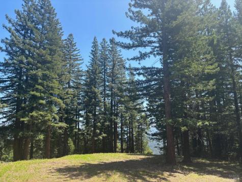 21380 Siri Road Guerneville CA 95446