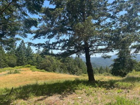 21380 Siri Road Guerneville CA 95446