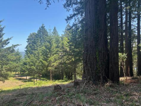 21380 Siri Road Guerneville CA 95446