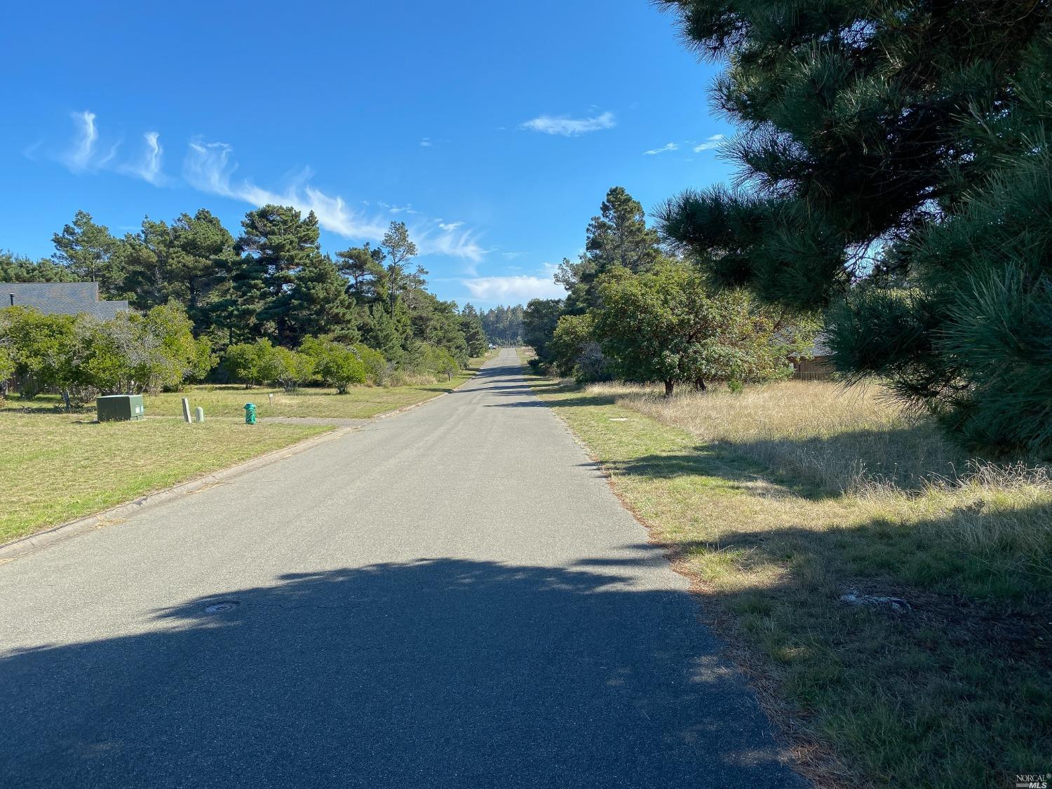 41179 Deer Trail The Sea Ranch CA 95497
