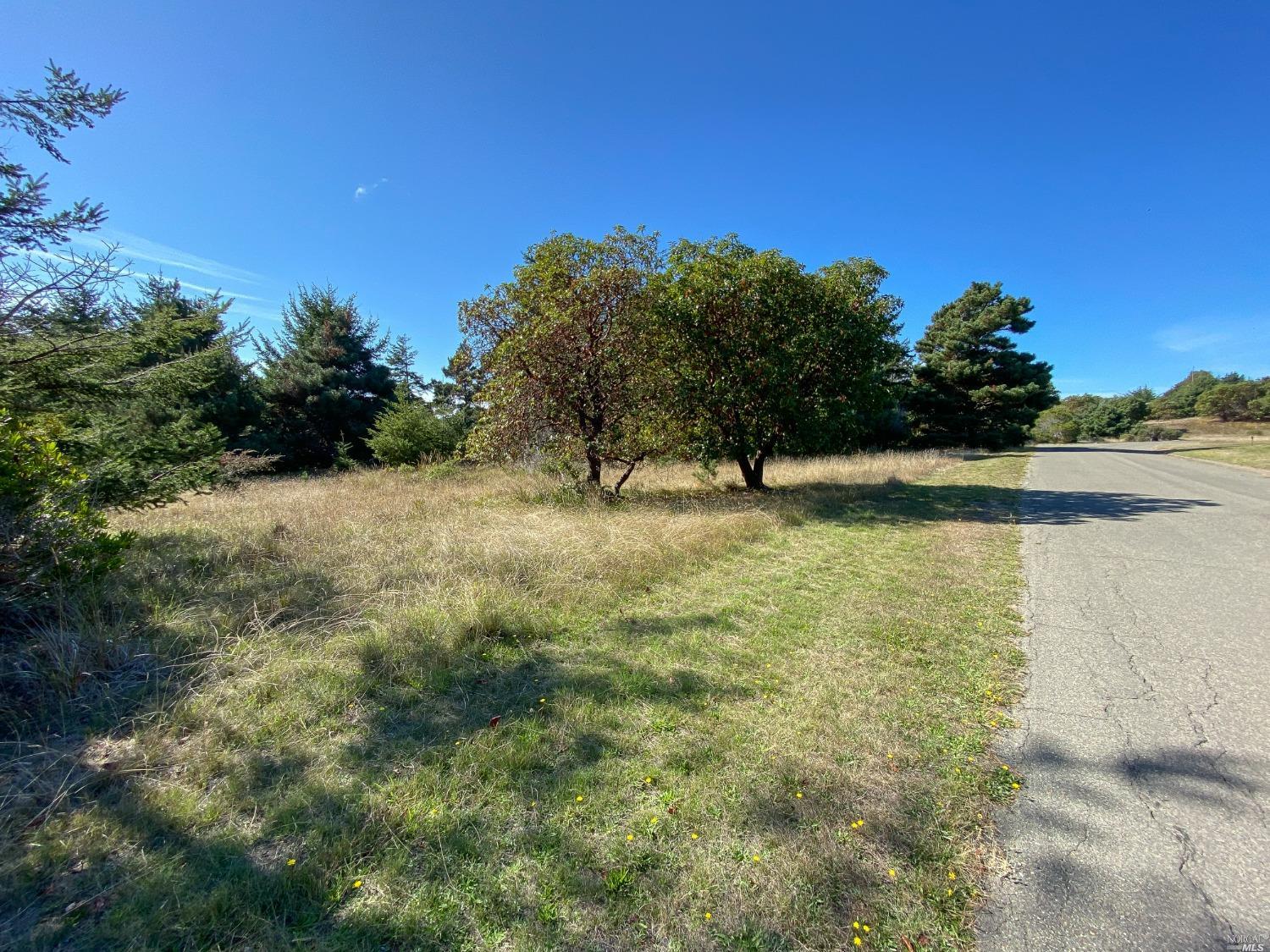 41179 Deer Trail The Sea Ranch CA 95497