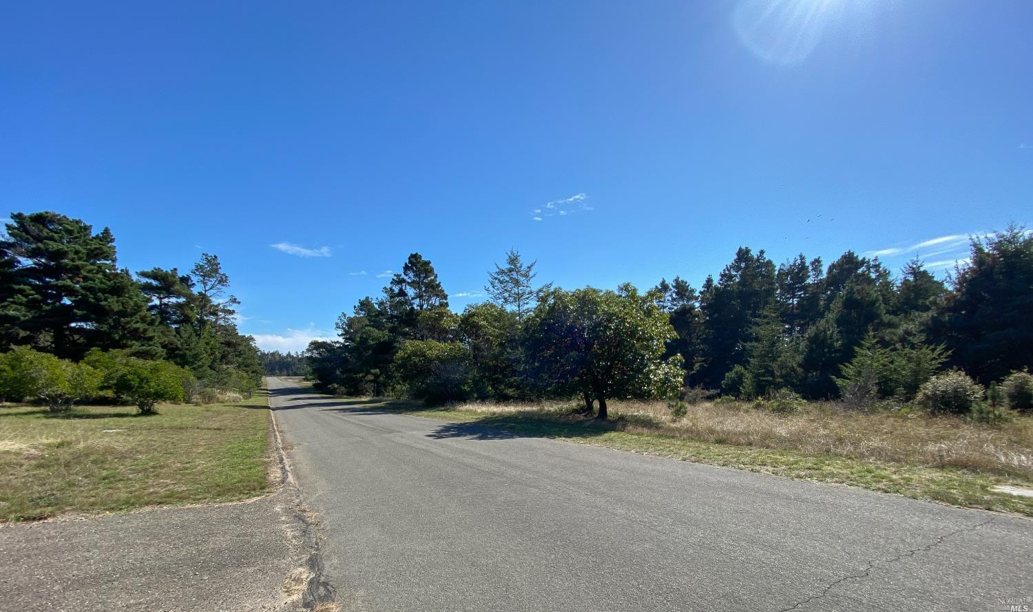 41179 Deer Trail The Sea Ranch CA 95497
