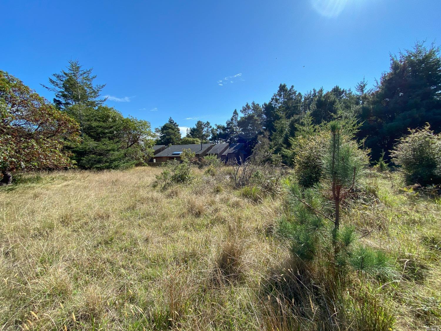 41179 Deer Trail The Sea Ranch CA 95497