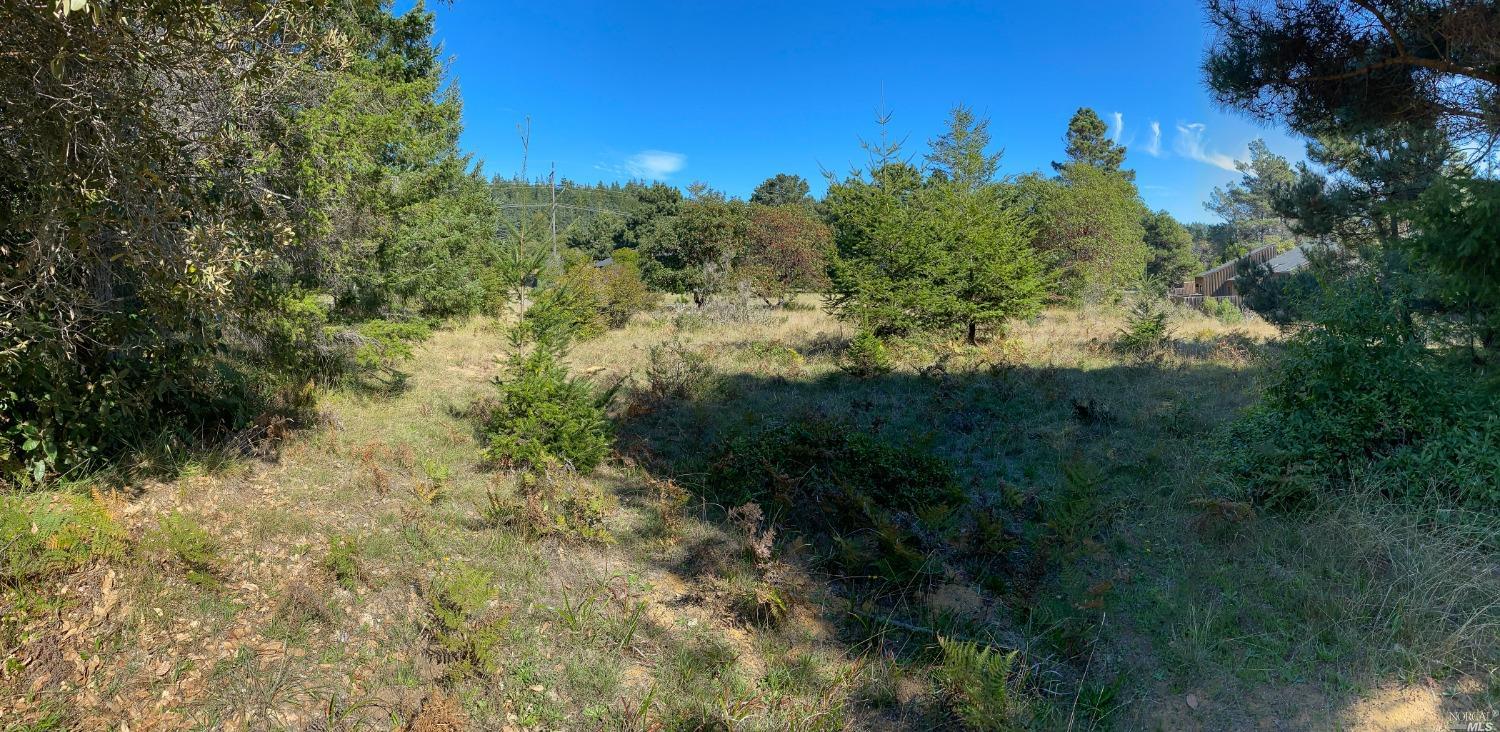 41179 Deer Trail The Sea Ranch CA 95497