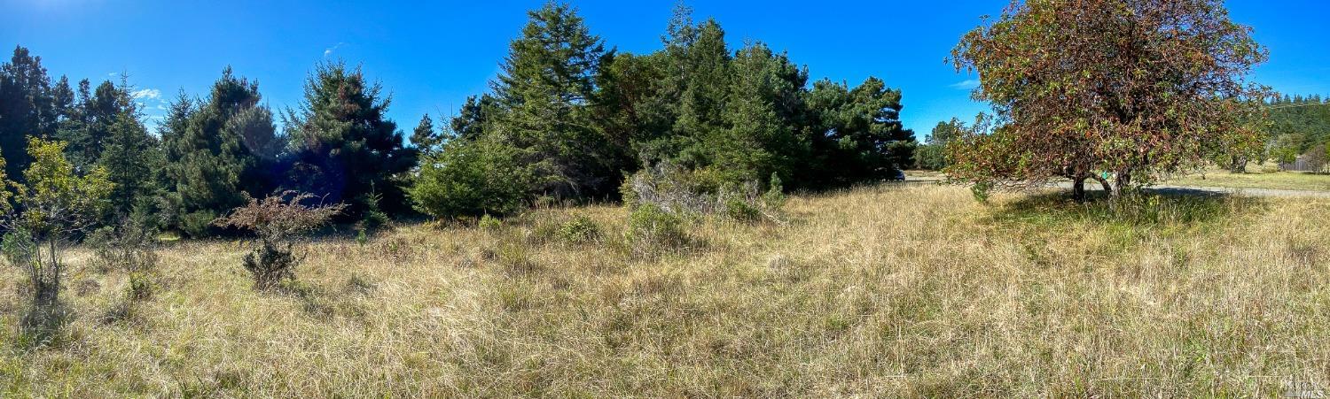 41179 Deer Trail The Sea Ranch CA 95497