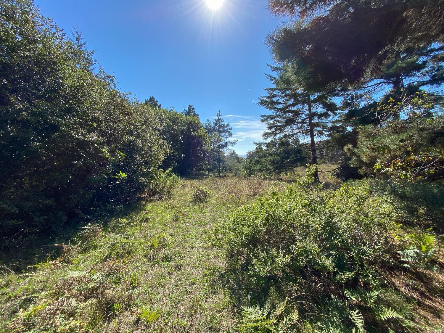 41179 Deer Trail The Sea Ranch CA 95497