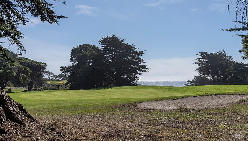 41179 Deer Trail The Sea Ranch CA 95497