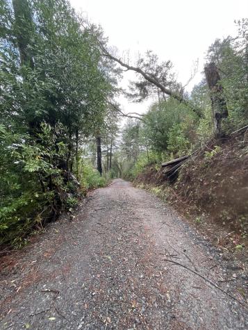 2858 Porter Creek Road Santa Rosa CA 95404