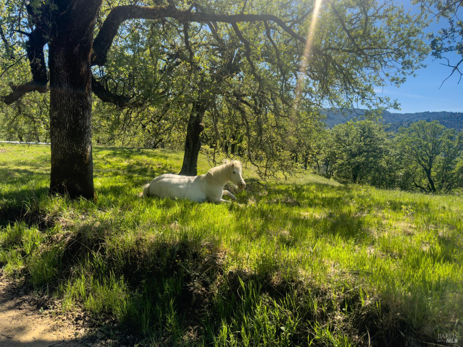 1510 Boonville Road Ukiah CA 95482