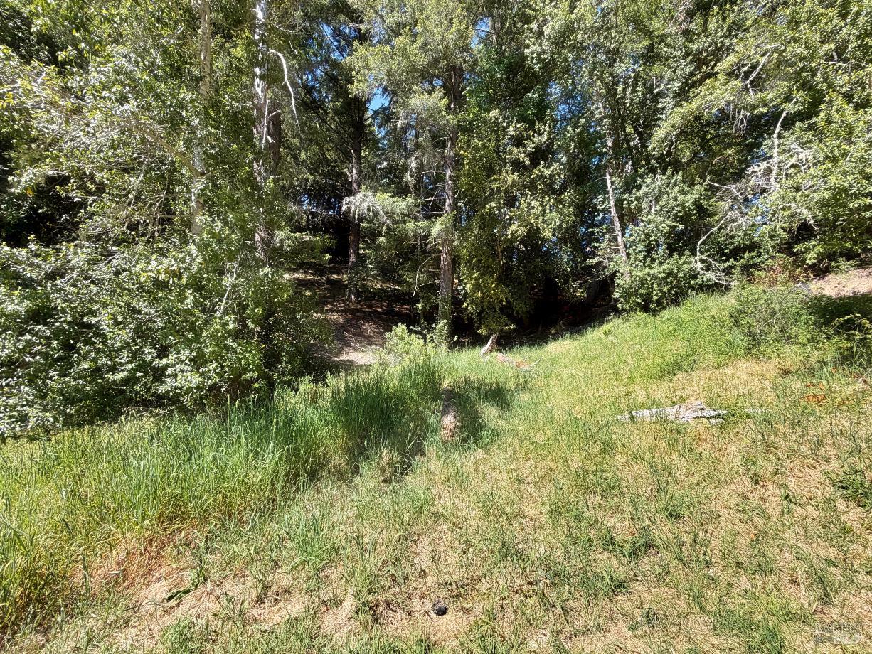 1494 Hulett Place Willits CA 95490