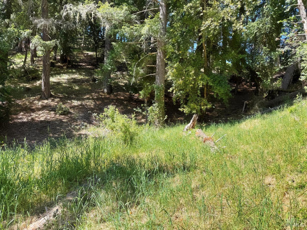 1494 Hulett Place Willits CA 95490