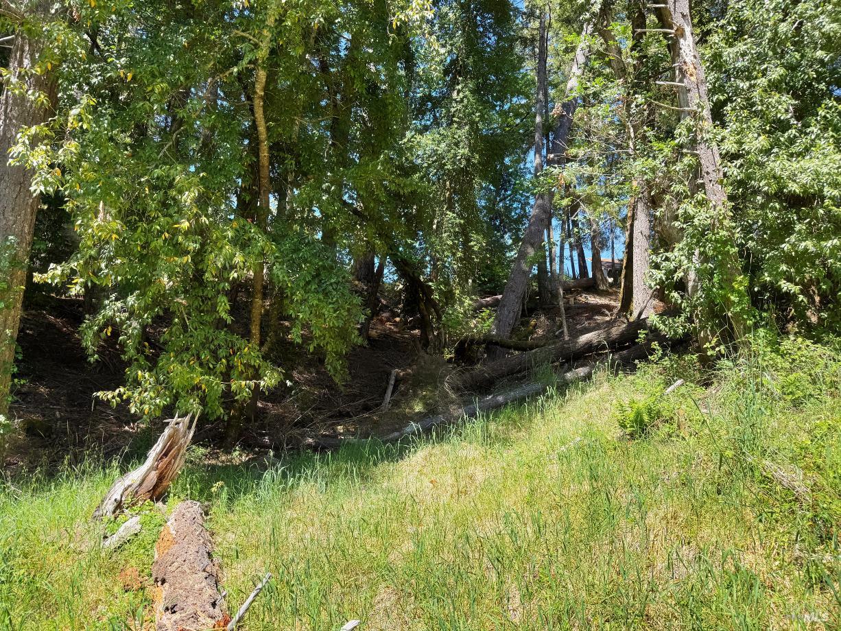 1494 Hulett Place Willits CA 95490
